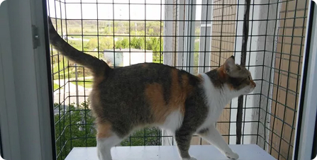 м. Ленинский проспект — установка сетки «Антикошка»